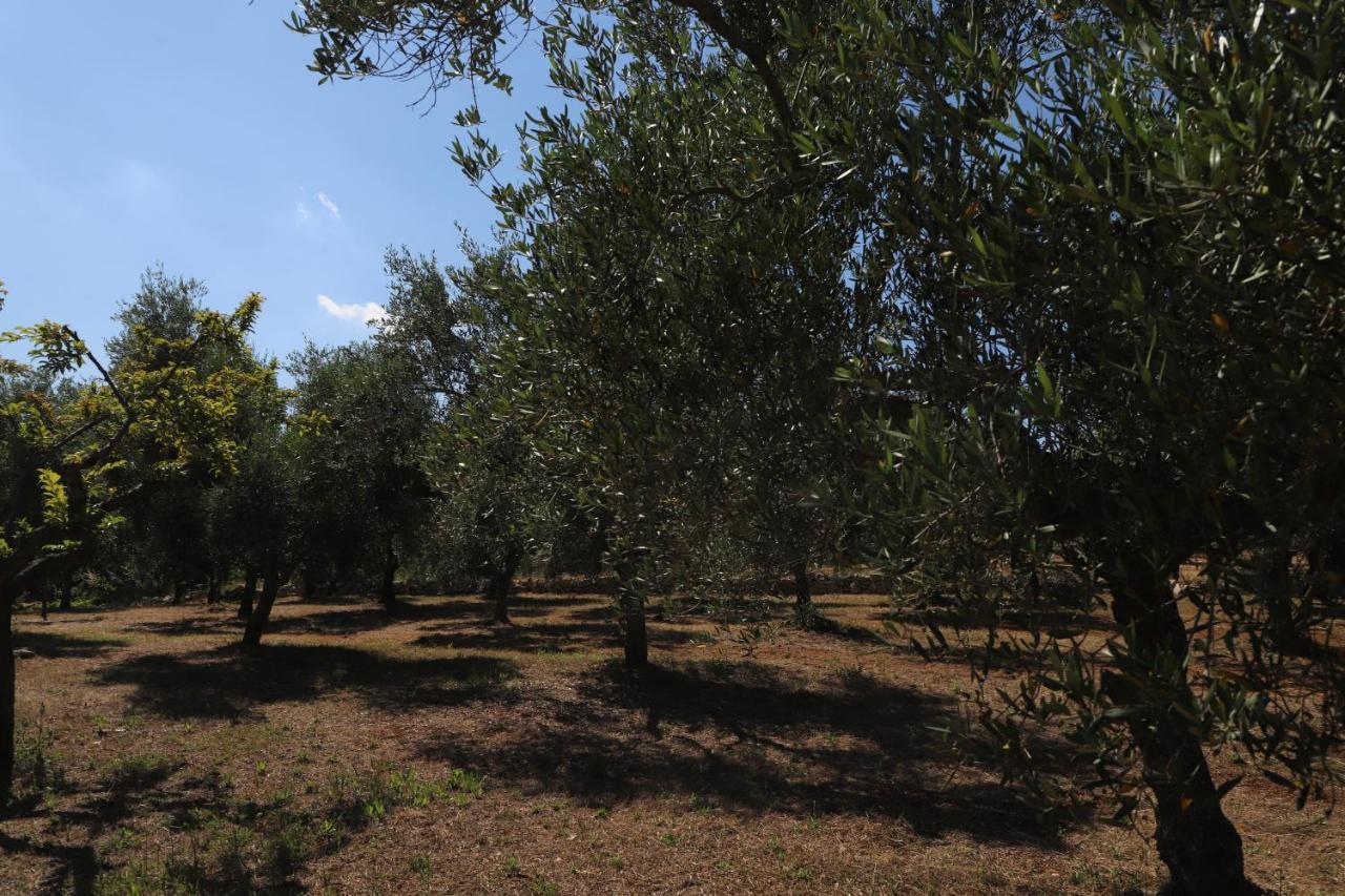 Villa Trulli Anna Cisternino Exterior foto